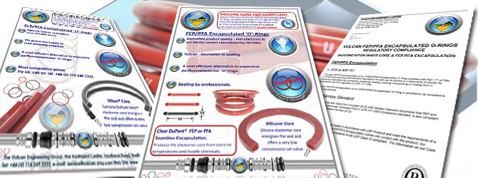 FEP Encapsulated genuine DupontR VitonR 'O'-Rings